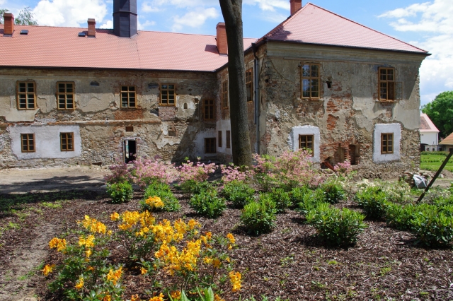 Rozkvetlý lesopark v Třeběšicích