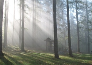 Vernisáž výstavy Fotografové Podblanicka