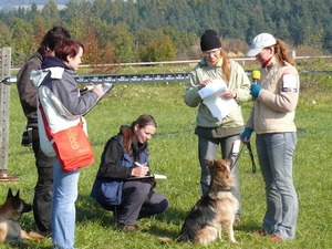 Podblanická pejskiáda 2012