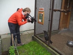 Heureka! Natáčení v záchranné stanici