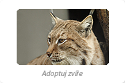 Adoptuj zvíře