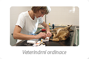 Veterinární ordinace